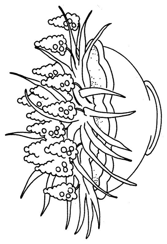 Fisă de colorat cu Flori lavanda de colorat p01