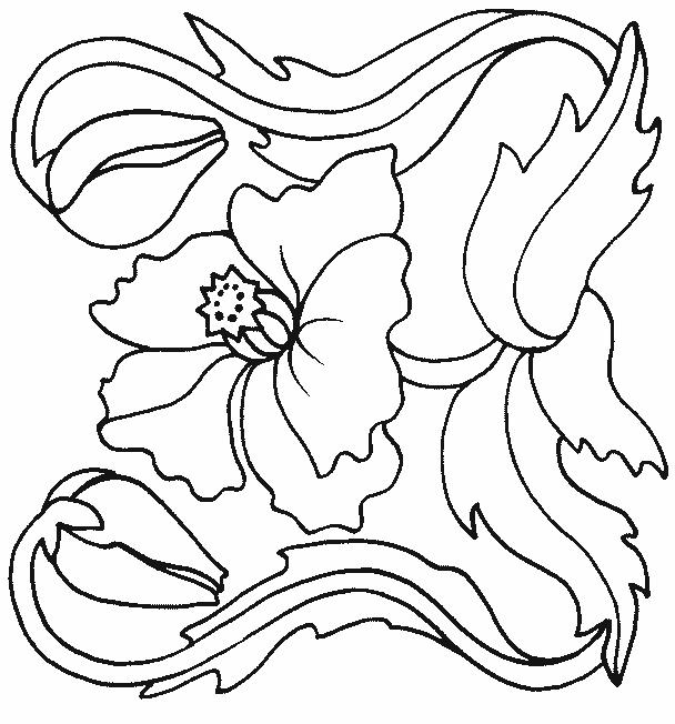 Fisă de colorat cu Flori maci de colorat p07