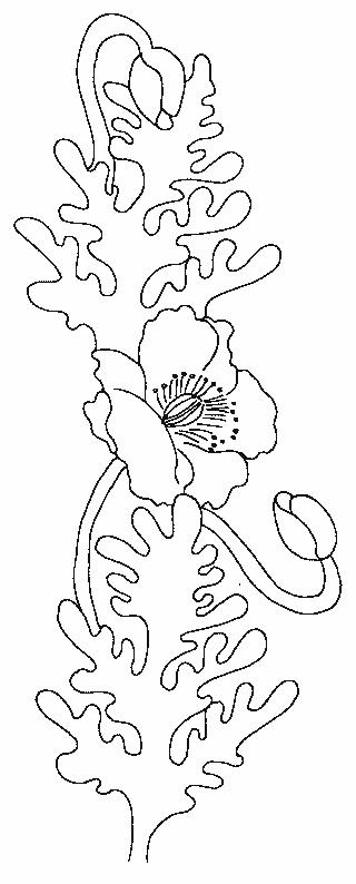 Fisă de colorat cu Flori maci de colorat p10