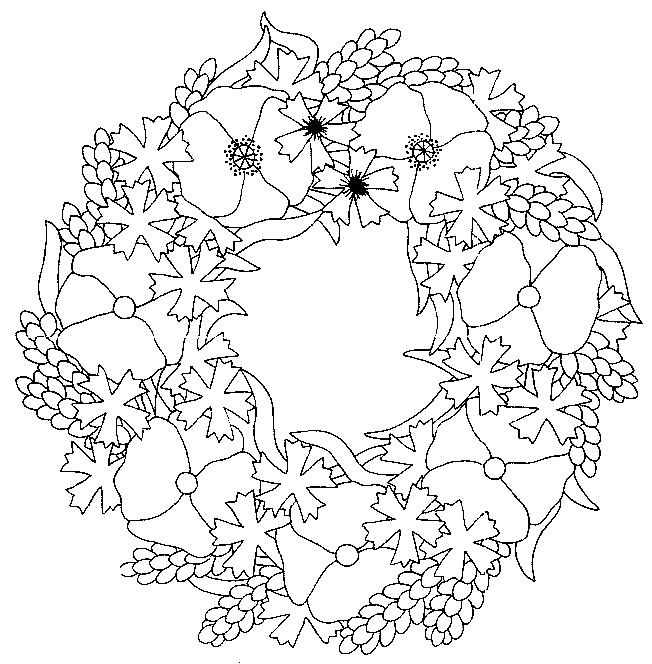 Fisă de colorat cu Flori maci de colorat p19