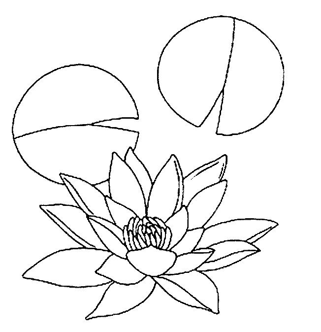 Fisă de colorat cu Flori nuferi de colorat p03
