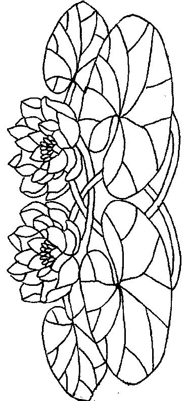 Fisă de colorat cu Flori nuferi de colorat p19