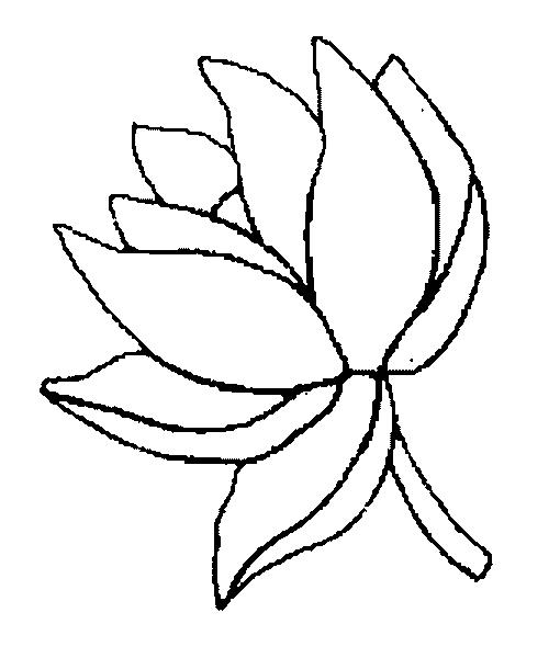 Fisă de colorat cu Flori nuferi de colorat p21