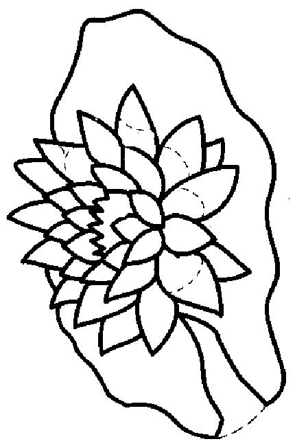 Fisă de colorat cu Flori nuferi de colorat p22