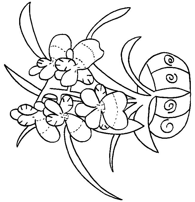 Fisă de colorat cu Flori orhidee de colorat p07