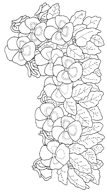 Fisă de colorat cu Flori panselute de colorat p03