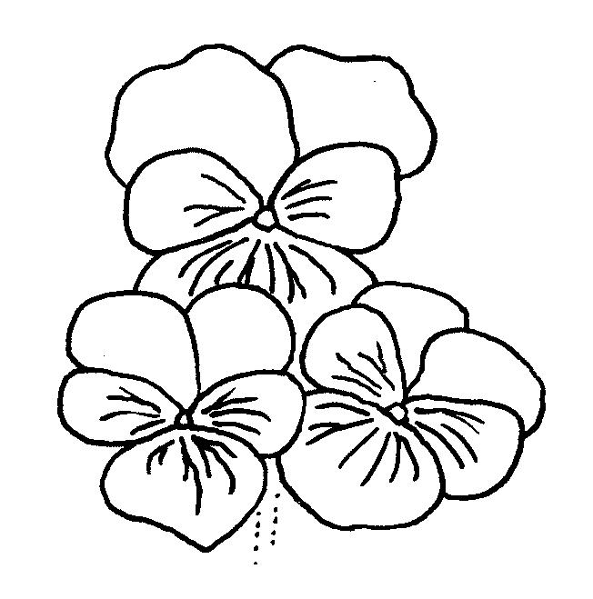 Fisă de colorat cu Flori panselute de colorat p10