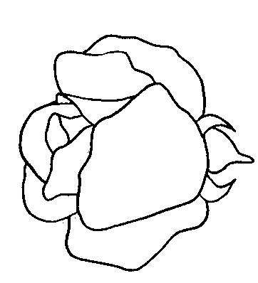 Fisă de colorat cu Flori trandafiri de colorat p17