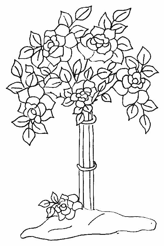 Fisă de colorat cu Flori trandafiri de colorat p24