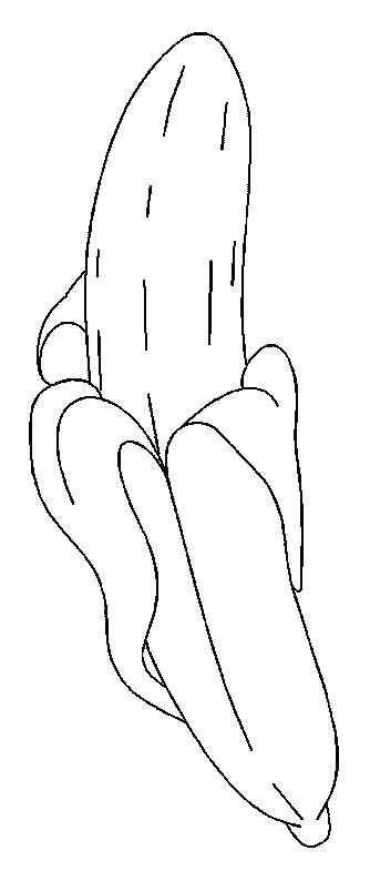 Fisă de colorat cu Fructe banane de colorat p04