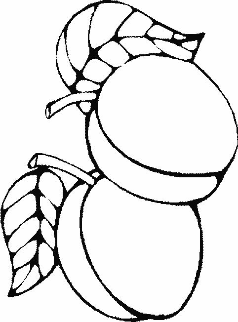 Fisă de colorat cu Fructe caise de colorat p02