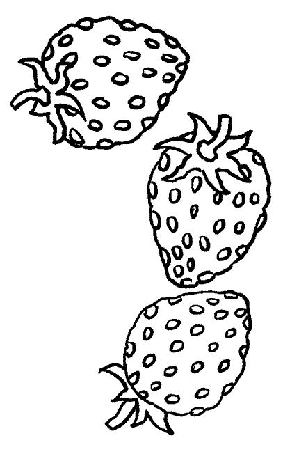 Fisă de colorat cu Fructe capsune de colorat p03