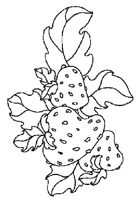 Fisă de colorat cu Fructe capsune de colorat p09