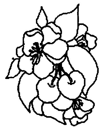 Fisă de colorat cu Fructe cirese de colorat p03