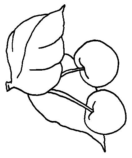 Fisă de colorat cu Fructe cirese de colorat p08