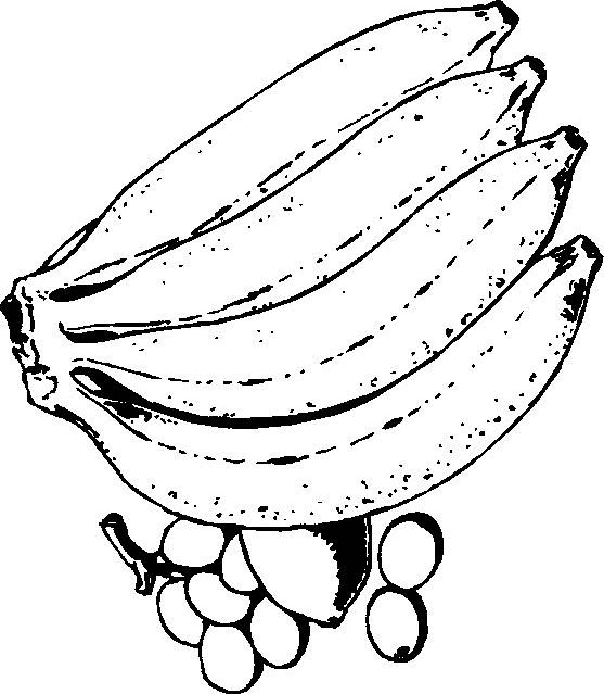 Fisă de colorat cu Fructe de colorat p02