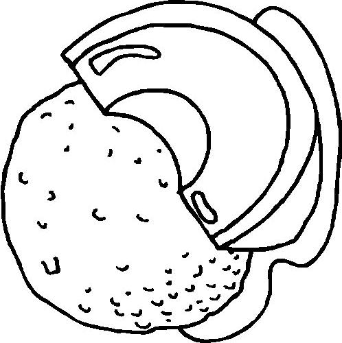 Fisă de colorat cu Fructe de colorat p10