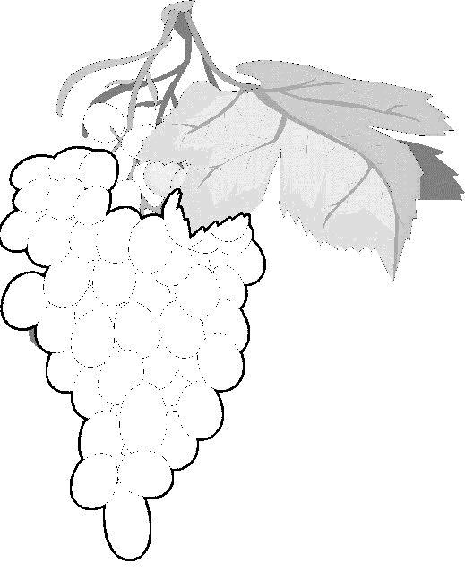 Fisă de colorat cu Fructe de colorat p11