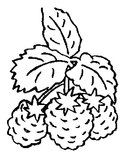 Fisă de colorat cu Fructe de colorat p15