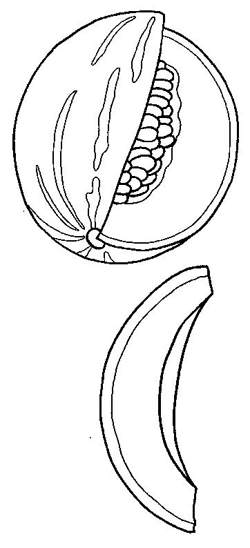 Fisă de colorat cu Fructe de colorat p18