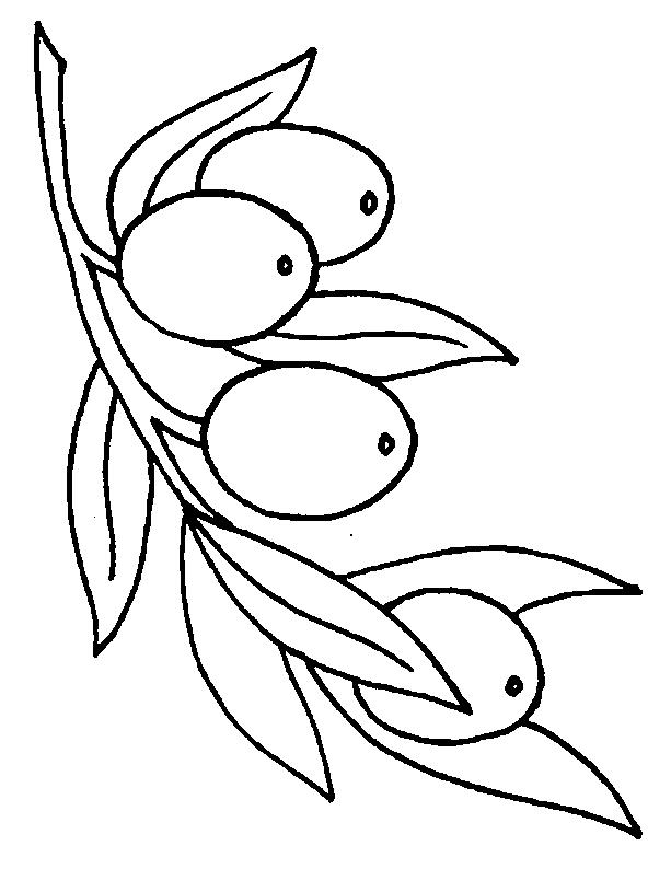 Fisă de colorat cu Fructe de colorat p21