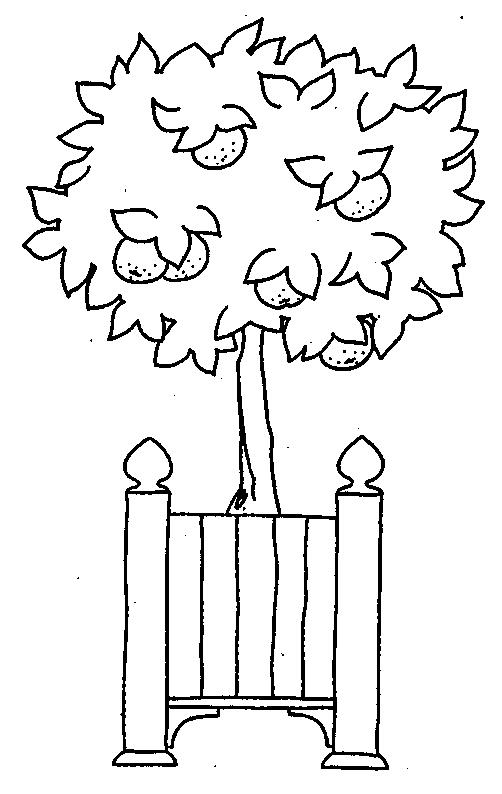 Fisă de colorat cu Fructe de colorat p28