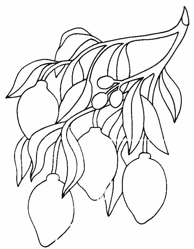 Fisă de colorat cu Fructe lamaie de colorat p04