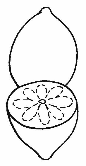 Fisă de colorat cu Fructe lamaie de colorat p05