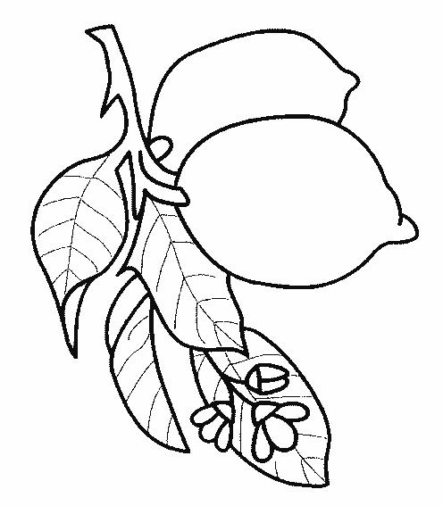 Fisă de colorat cu Fructe lamaie de colorat p09