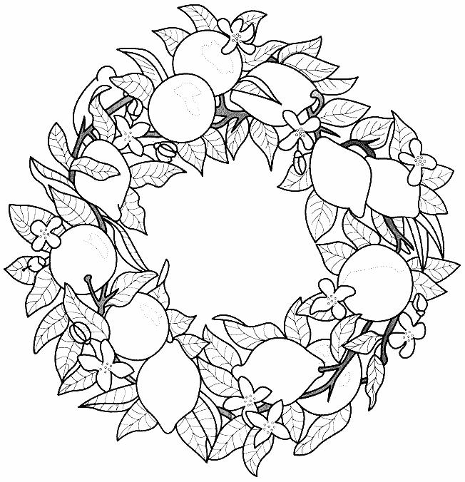 Fisă de colorat cu Fructe lamaie de colorat p12