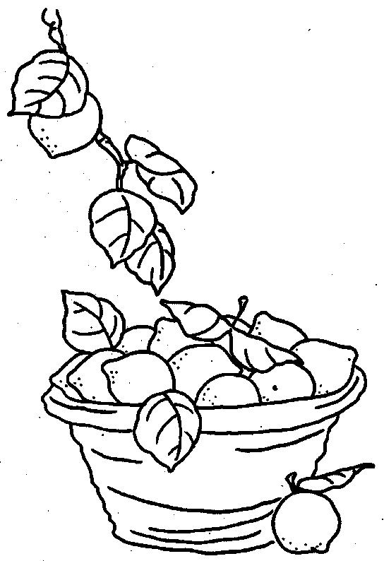 Fisă de colorat cu Fructe lamaie de colorat p16