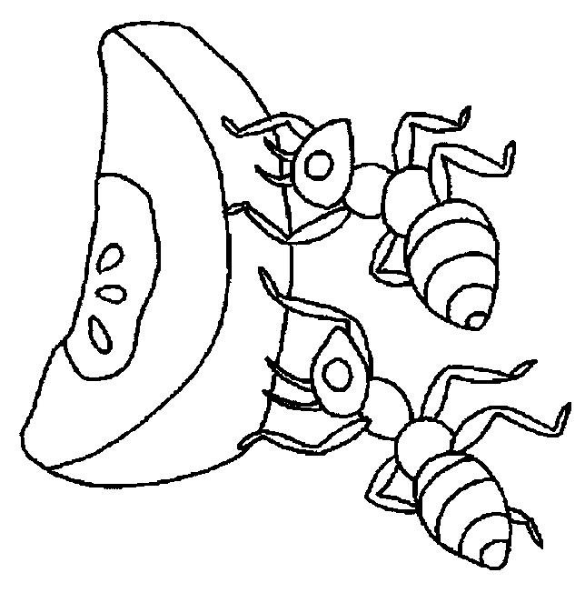 Fisă de colorat cu Fructe mere de colorat p02