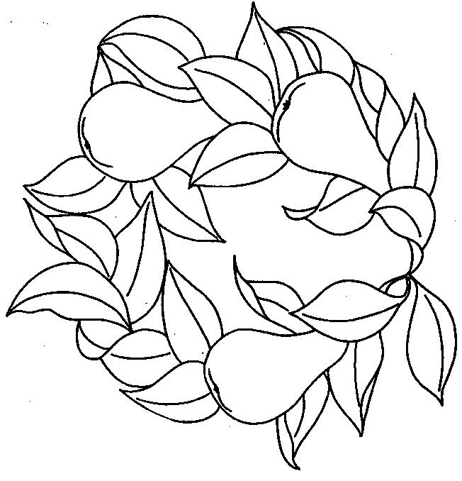 Fisă de colorat cu Fructe pere de colorat p12