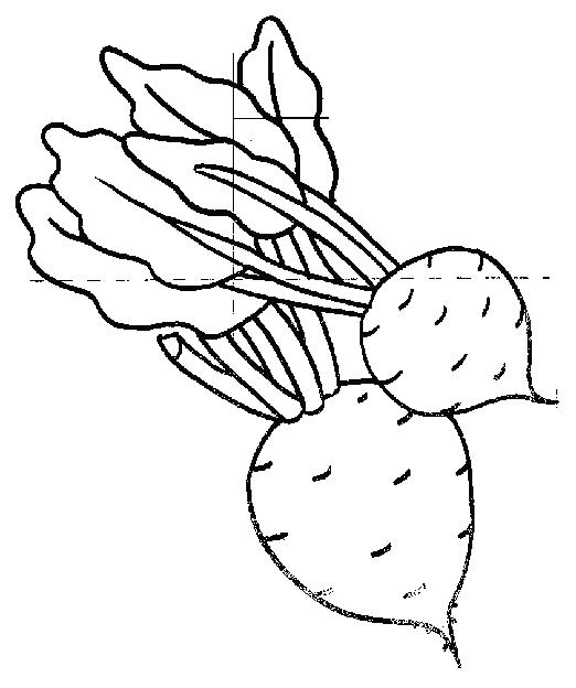 Fisă de colorat cu Fructe si legume de colorat p56