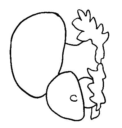 Fisă de colorat cu Fructe si legume de colorat p58