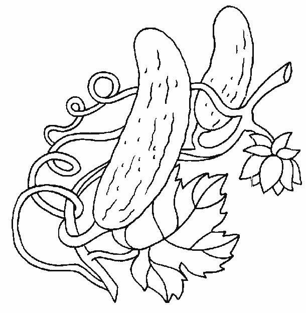 Fisă de colorat cu Fructe si legume de colorat p60