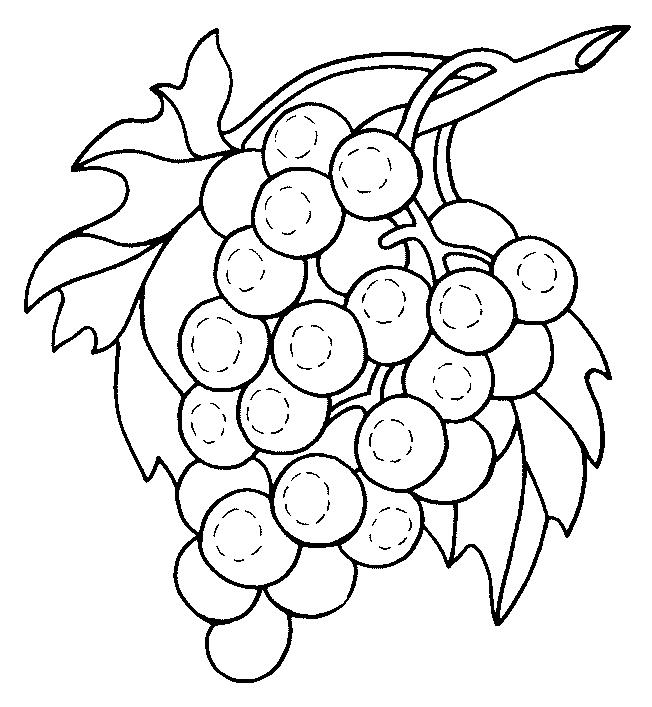 Fisă de colorat cu Fructe struguri de colorat p08