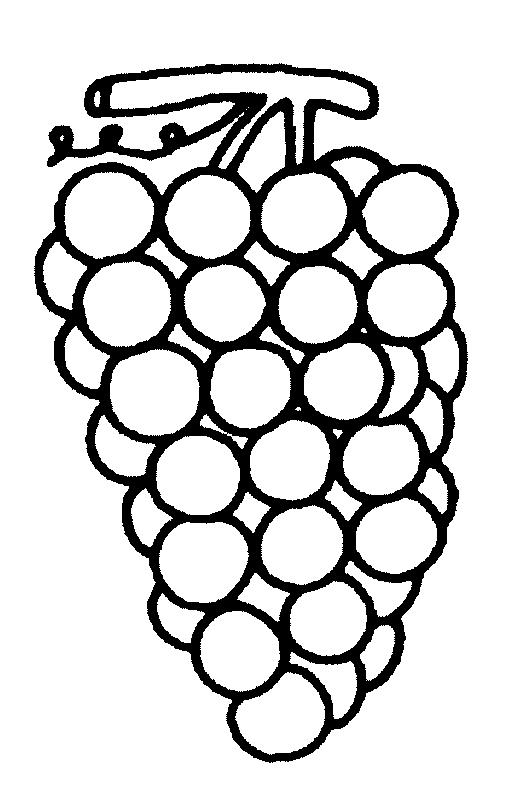 Fisă de colorat cu Fructe struguri de colorat p10