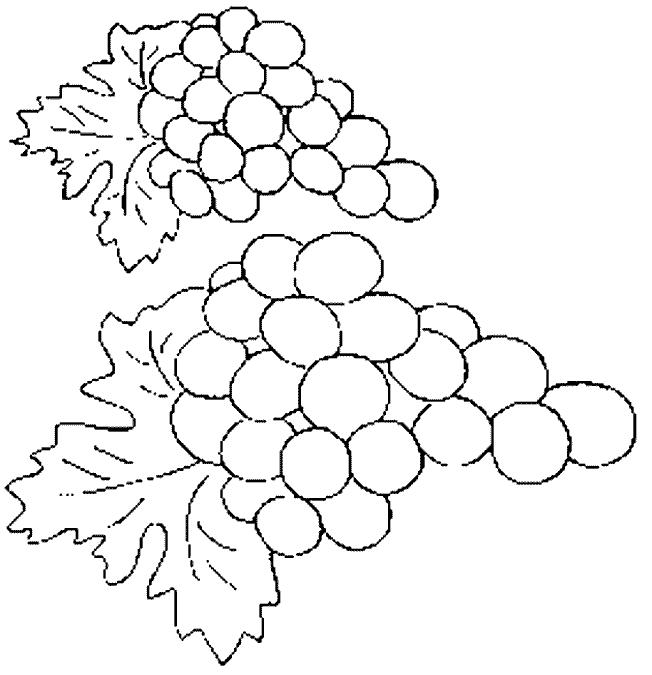 Fisă de colorat cu Fructe struguri de colorat p12