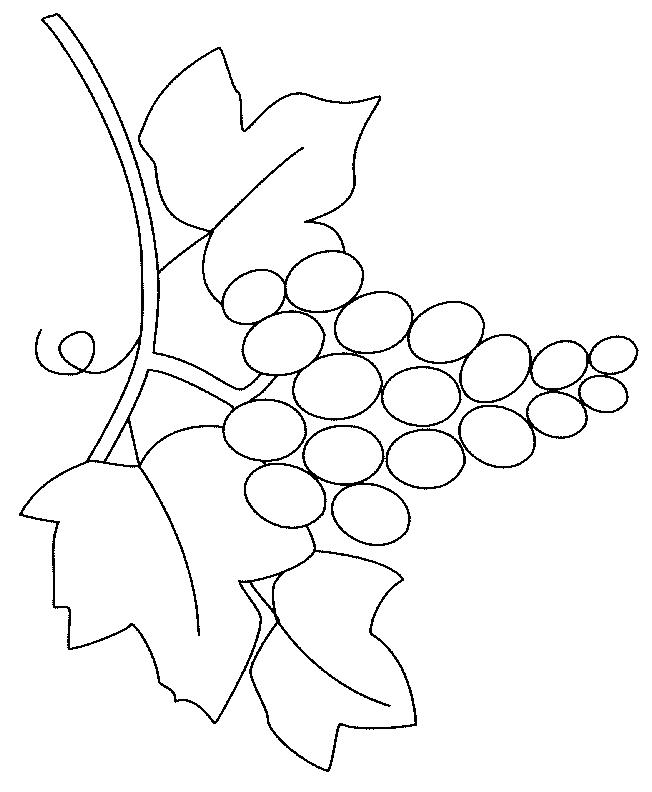 Fisă de colorat cu Fructe struguri de colorat p14