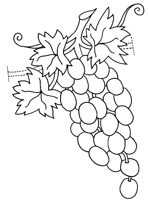 Fisă de colorat cu Fructe struguri de colorat p16