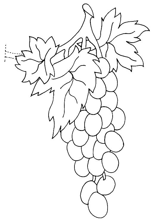 Fisă de colorat cu Fructe struguri de colorat p17