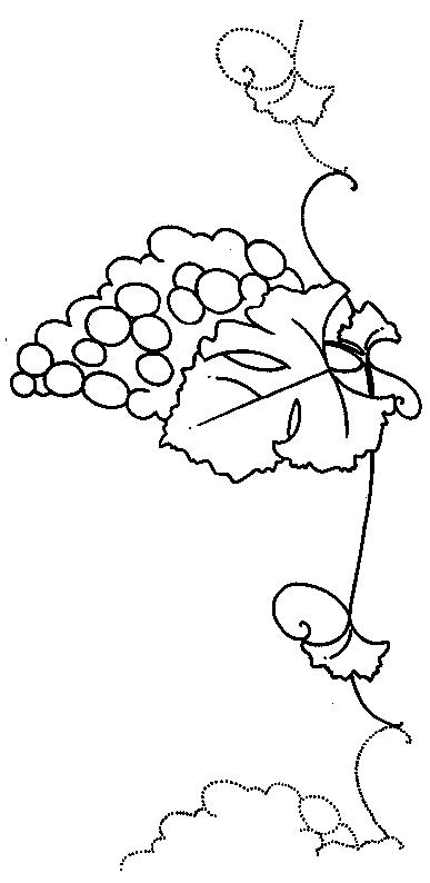 Fisă de colorat cu Fructe struguri de colorat p19