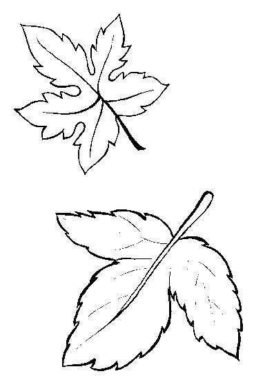 Fisă de colorat cu Frunze de colorat p06