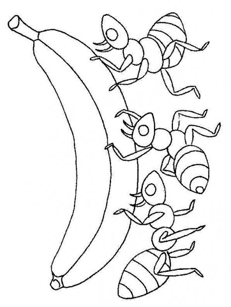 Fisă de colorat cu Greierele si furnica de colorat p10