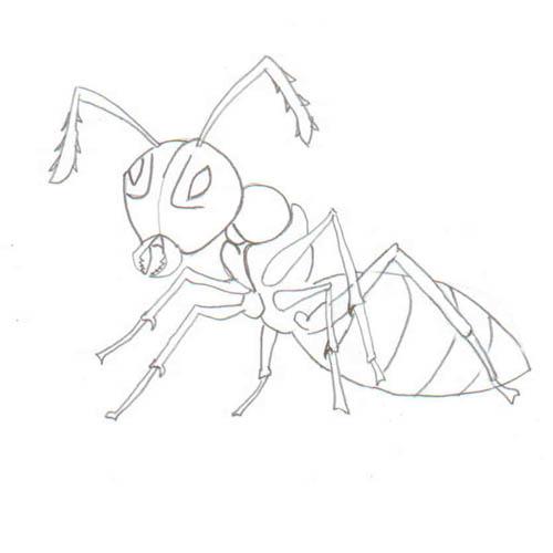 Fisă de colorat cu Greierele si furnica de colorat p13