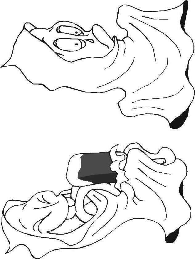 Fisă de colorat cu Hallowen de colorat p90