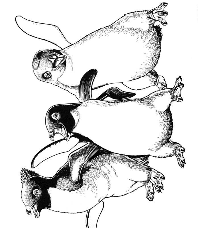 Fisă de colorat cu Happy feet de colorat p08