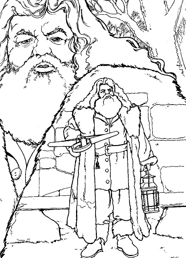 Fisă de colorat cu Harry potter camera secretelor de colorat p07