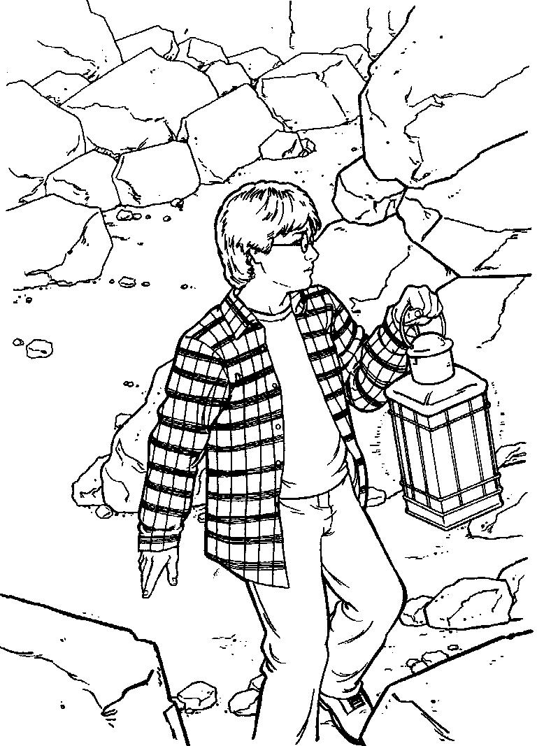 Fisă de colorat cu Harry potter camera secretelor de colorat p24